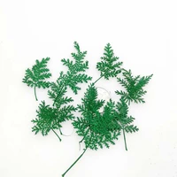 60pcs green pressed dried wormwood leaf leaves plant herbarium for jewelry bookmark phone case candle photo frame postcard diy