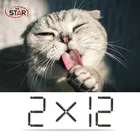 10 шт. FDX-A T5577 RFID микрочип ПЭТ Стекло транспондер чип тег 2*12 мм