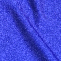 royal blue Cheer женские черные обтягивающие шорты средняя талия лайкра балетное трико из спандекса Excerise Jazz Dance Ballet Elastice Brief - Цвет: royal blue