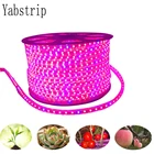 100 длиной 50 м20 м светодиодный Grow светильник спектра 220V 5050 растут светильник полосы Фито лампа для комнатные растения парниковые гидропоники Fitolampy