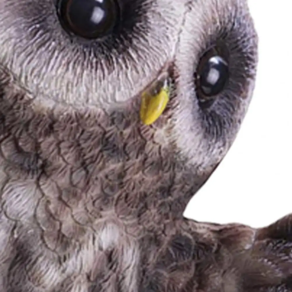 

Statue Decor Vivid Cute Resin Owl Shape Decorative Statue Display for Garden