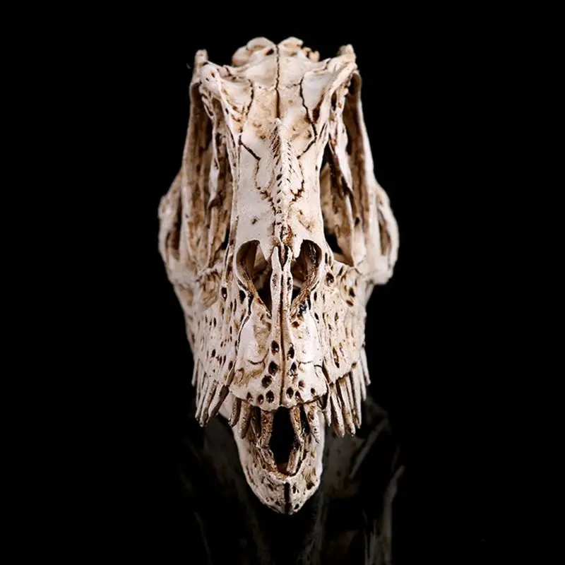 Кератозавр динозавр Череп каучуковые изделия ископаемый скелет обучающая