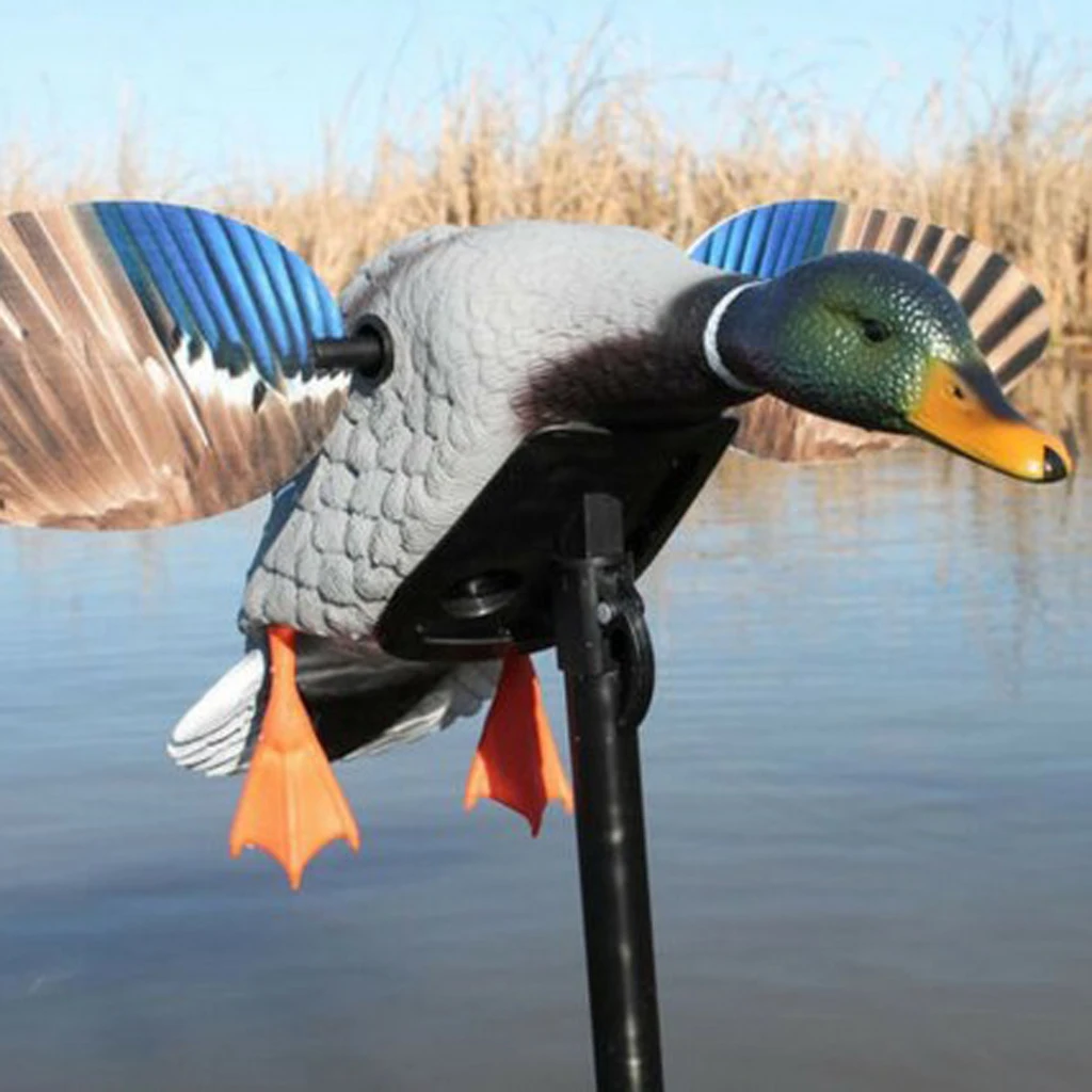 

Electric Fly Duck Mallard Wing Duck Drake Decoy Remote Control Outdoor Hunting Decoy with Support Foot for Hunting Shooting