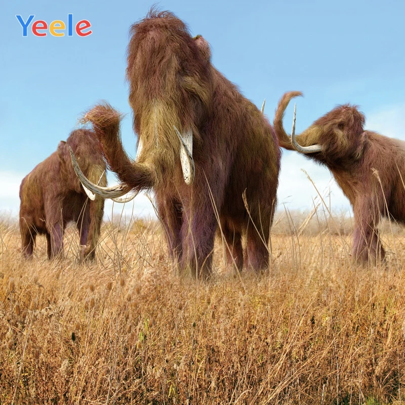 Yeele живопись фотосессия слон лужайка дикий декор Фотография фоны