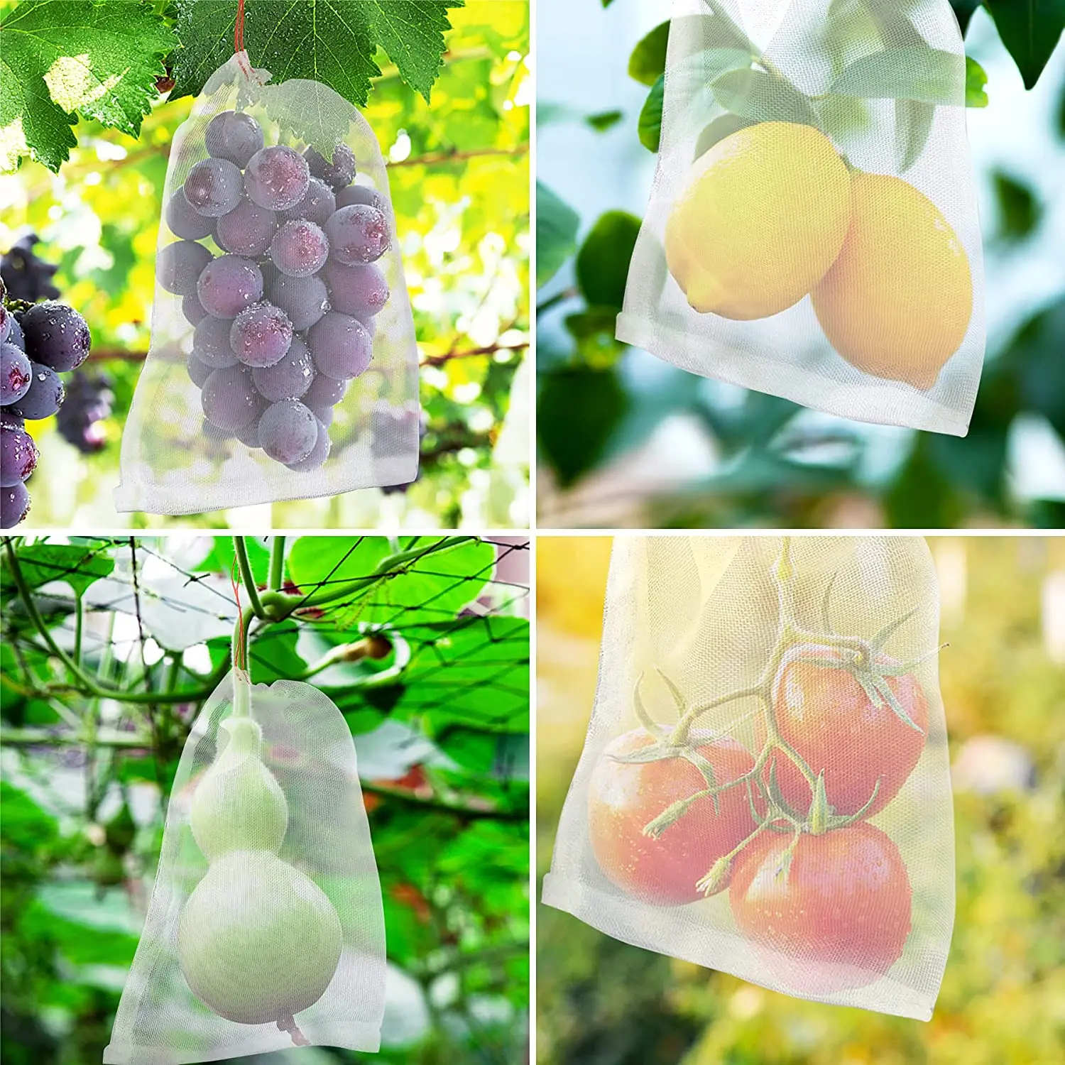 

100PCS Fruit Protection Bags Nylon Net Barrier Bag Mesh Garden Bags for Protecting Plant Fruits Flower (6 x 10 Inches)