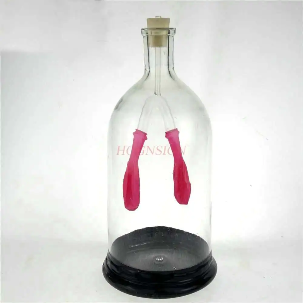 

Диафрагменный тренажер, модель биологического Экспериментального оборудования для средней школы, инструмент для обучения