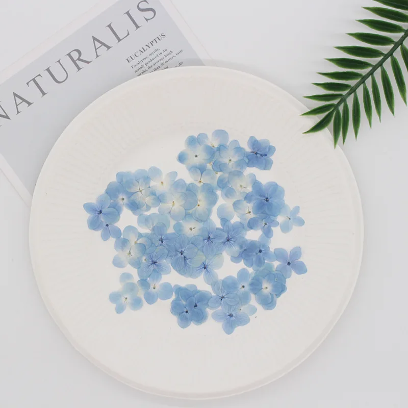 Небесно Голубая Гортензия сушеные цветы Тиснение Клей цветок свеча Помпон