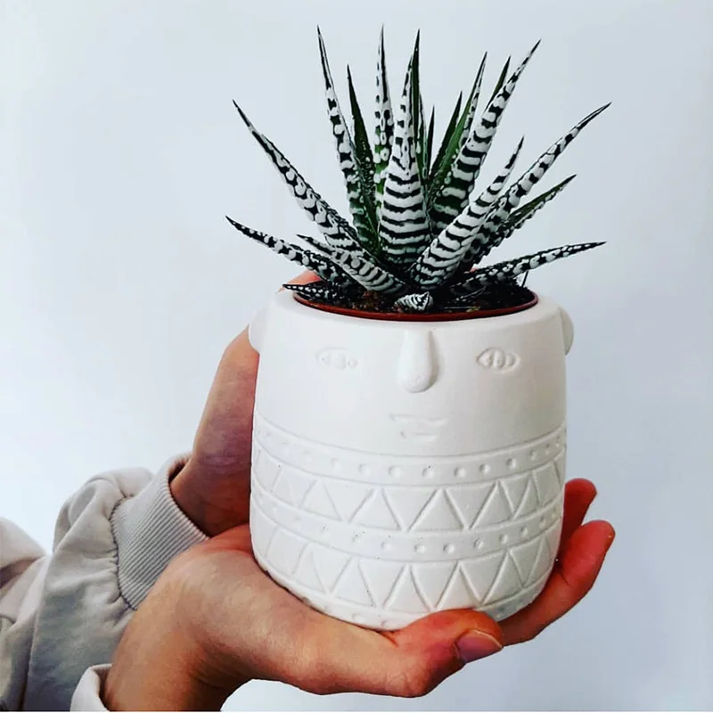 

Форма для бетонных цветов, форма для цемента, силиконовая форма «сделай сам» для посадки растений, контейнер для бетонных растений