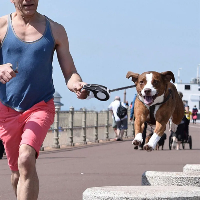 Прочный выдвижной поводок для собак автоматический прогулок шнур немецкой