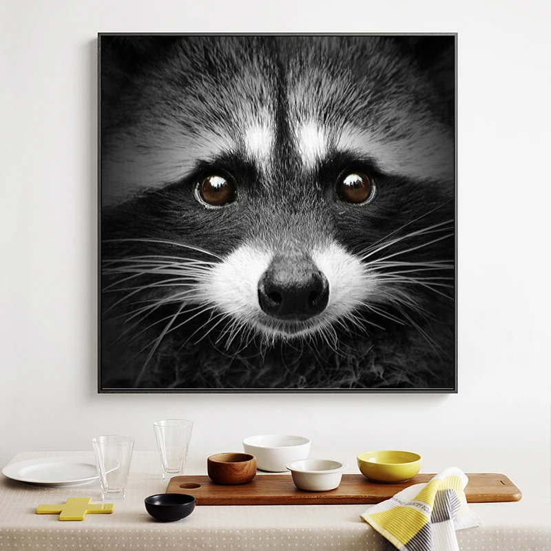 Современные животные черно белые милые енотовые Масляные картины на холсте