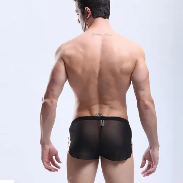 

Super Porno Thin Mens Perspective Sexy Underwear Ice Silk Boxers Shorts Transparent Low-rise Trunks Breathable Men Cueca Panties
