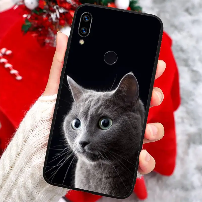 

Chartreux cat Cute animal Phone Case For Xiaomi Redmi note 7 8 9 t k30 max3 9 s 10 pro lite
