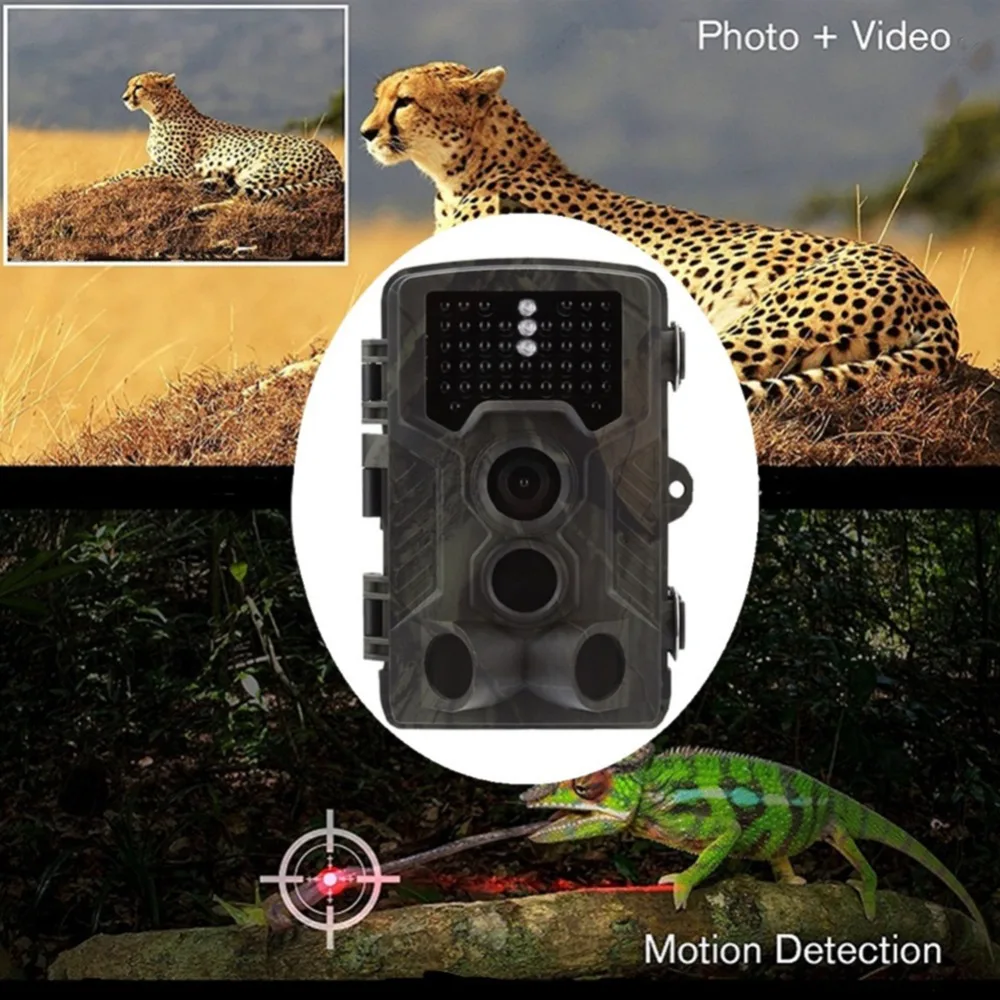 Suntekcam 801a 300a 800a охотничья тропа камера Chasse wildcamera 16MP 1080P фото ловушки фото Капан камера для охоты