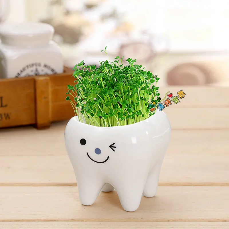 Cute Tooth Pot Vase Creative Ceramic Cartoon Flower Succulent Home Decoration Crafts Dental Clinic Gift Toy | Дом и сад
