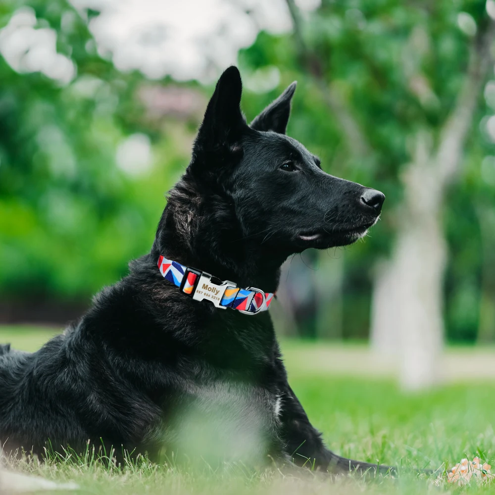 

Adjustable Nylon Custom Name Free Nameplate Dog Collar Printed ID Tag Personalized Small Large Medium Pet Engraved Dogs Collars