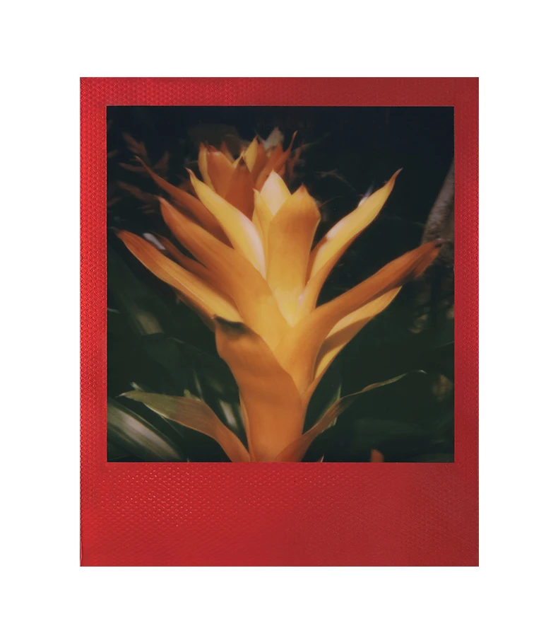 Пленка Polaroid Originals Instant 600 цвет черно-белый для камеры Onestep2 Instax SLR680 636 637 640 650 660 Автофокус невозможен
