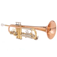 flofair ftr 80 wind instruments phosphor brass band plays the beginners trumpet instruments in b flat give small box and nozzle