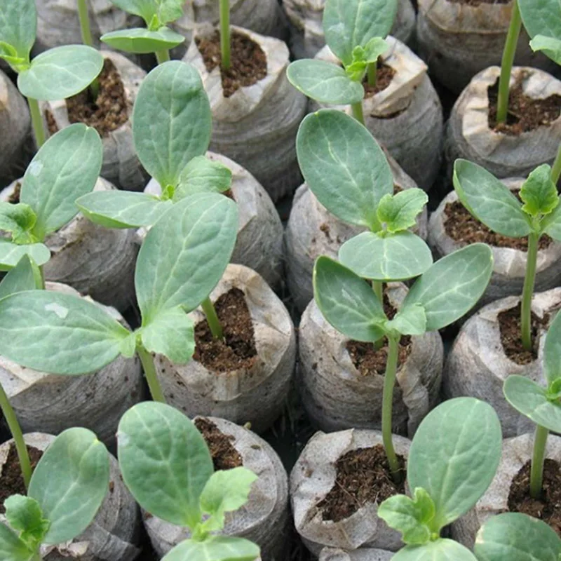 10 шт. 30 мм садовые цветы посадка торфяных гранул|Детские горшки| |