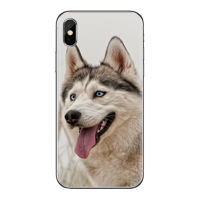 Для iPhone XS Max XR X 4 4S 5 5S 5C SE 6 6S 7 8 плюс samsung Galaxy J1 J3 J5 J7 A3 A5 Собака Хаски прозрачный