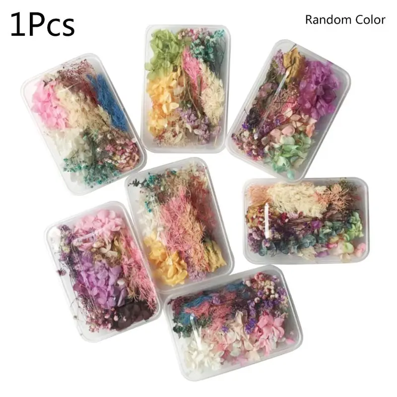 

1 Box Real Mix Dried Flowers for Resin Jewellery Dry Plants Pressed Flowers DIY 97BC