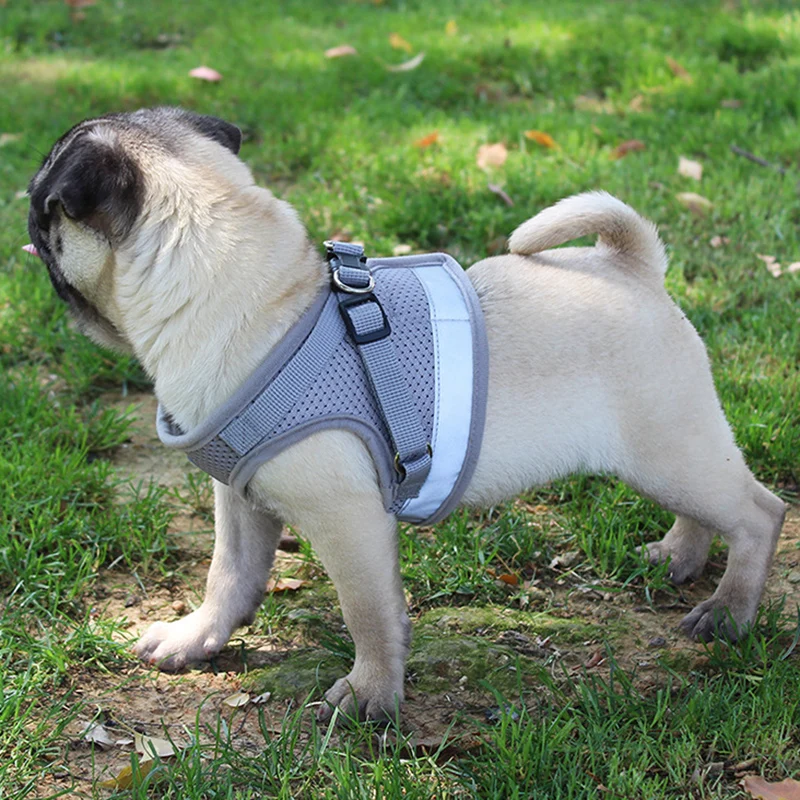 Светоотражающая шлейка для собак регулируемый Воздухопроницаемый мягкий