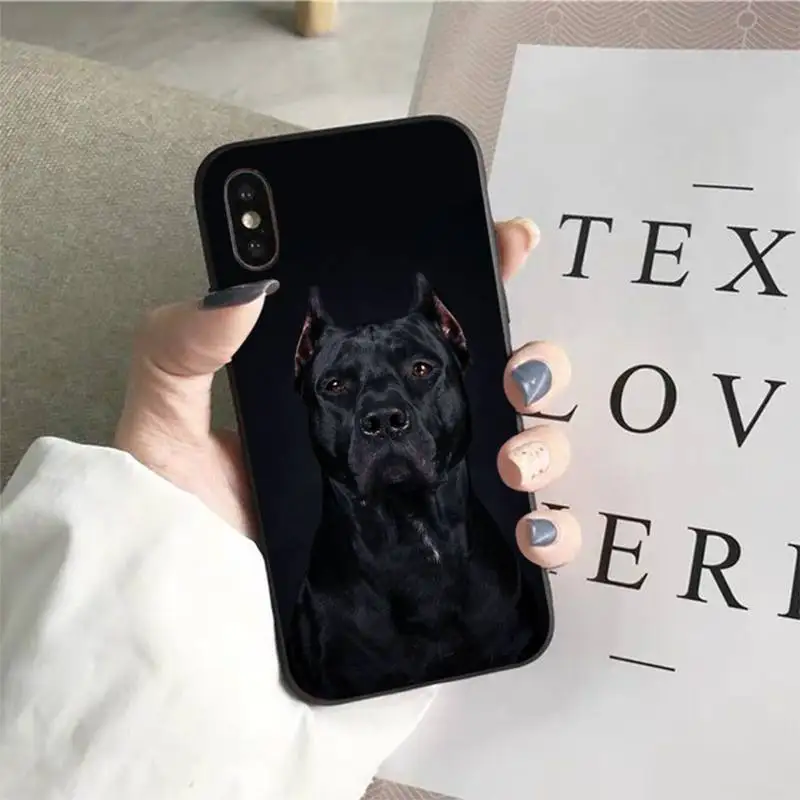 YNDFCNB Animal Dachshund Doberman dog Phone Case for iphone 13 11 12 pro XS MAX 8 7 6 6S Plus X 5S SE 2020 XR cover