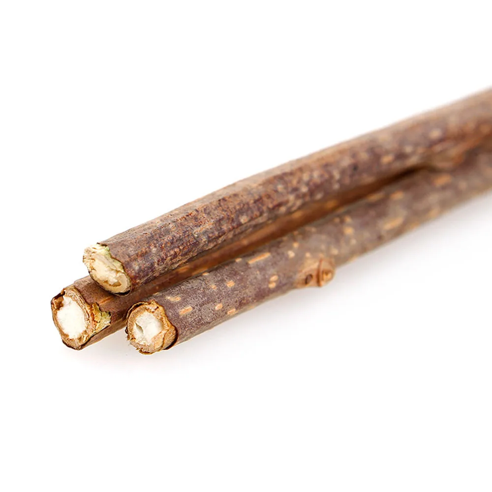 Кошка молярная зубная паста палка 100% натуральная кошачья мята игрушки кошки