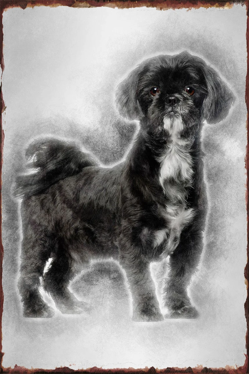 

Shih Tzu Standing Tin Sign Tin Plates Wall Decor Room Decoration Retro Vintage Metal Sign For Art Pub Home Club Man Cave Cafe