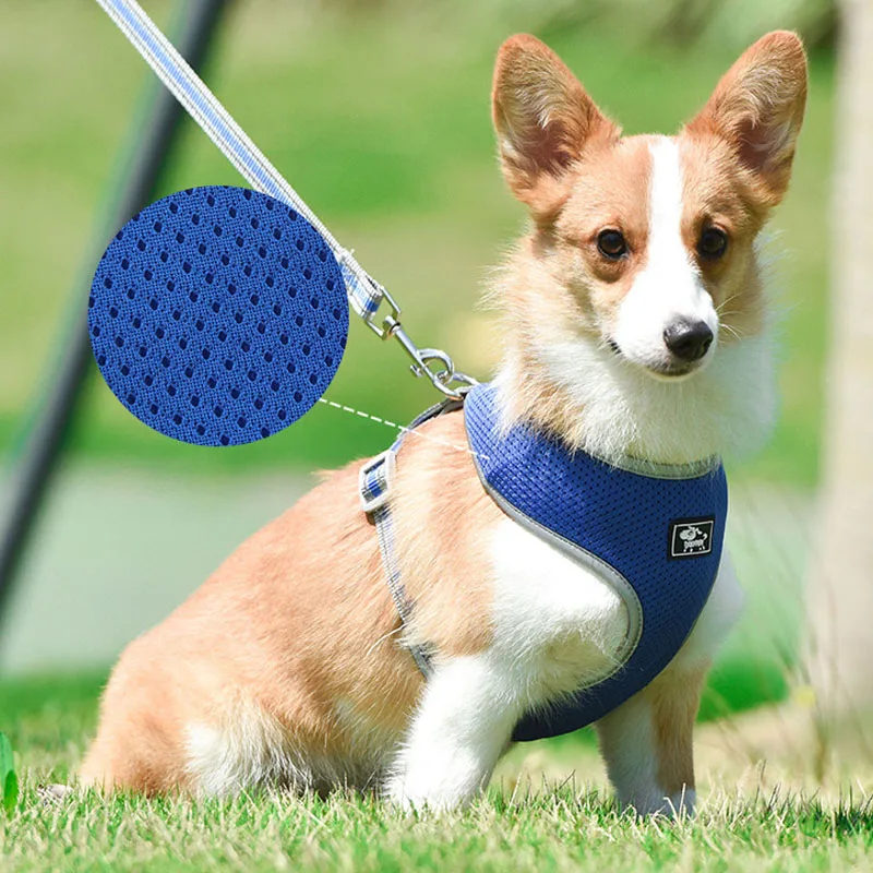 

Reflective Mesh Vest Dog Harness Leash Set For Small Medium Dogs Chihuahua Pug Harnesses Vest Lead Leash Pet Accessory Supplier