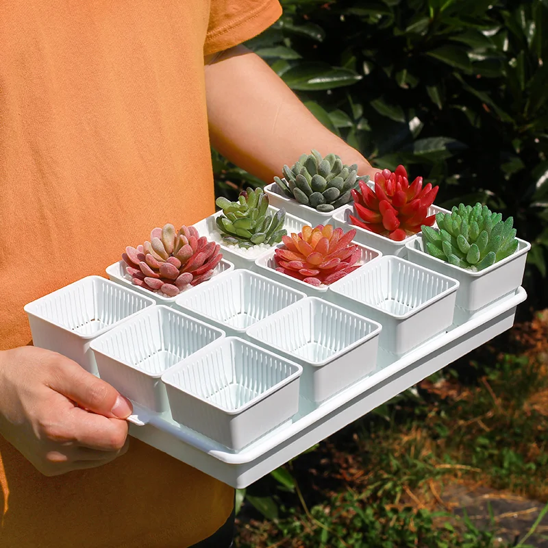 Белый горшок для суккулентов пластиковый контейнер кактуса умывальника на