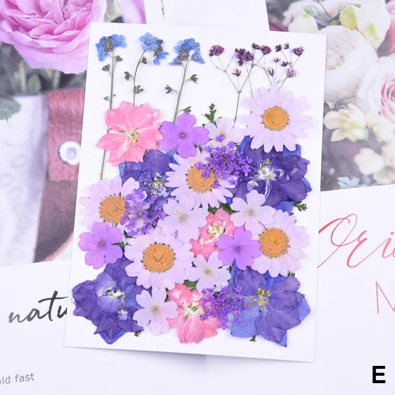 

New Pressed Flower Mixed Organic Dried Flowers DIY Art Floral Decors Collection Gift SCI88