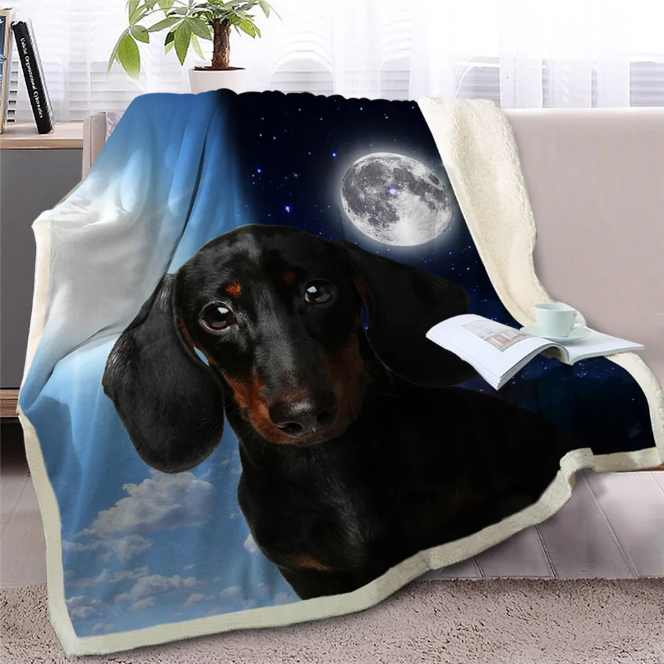Blesslive одеяло для питомца собаки шерпы на кровать 3D Border Collie Throw Одеяло покрывало для животных день и ночь небо пейзаж чехол для дивана