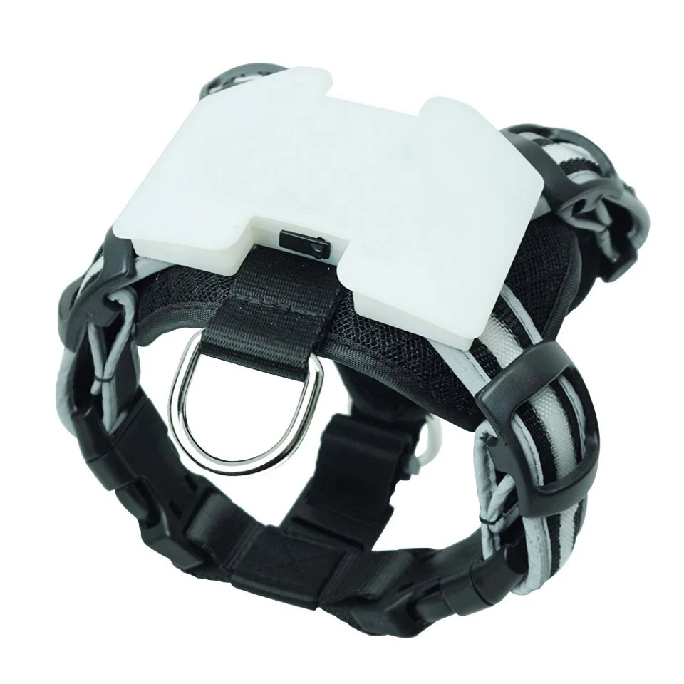 

cc simon Waterproof Good Reputation Reflective Nylon Led Dog Collar harnesses pet accessories