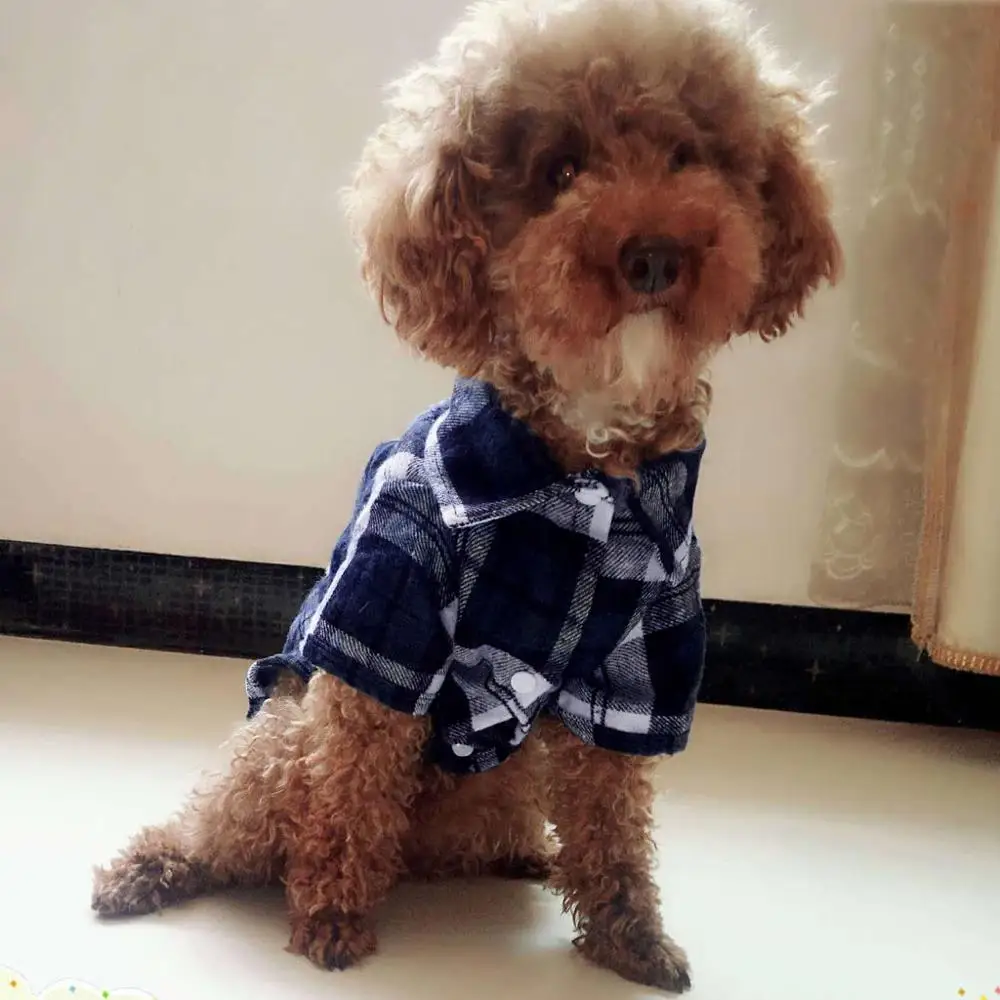 Футболка с принтом в полоску для щенков кошек маленьких и средних собак | Дом сад