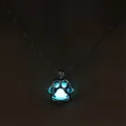 Ожерелье мужское, светящееся в темноте, в стиле панк, с подвеской в виде лапы собаки, образный медальон, светящиеся украшения, для женщин