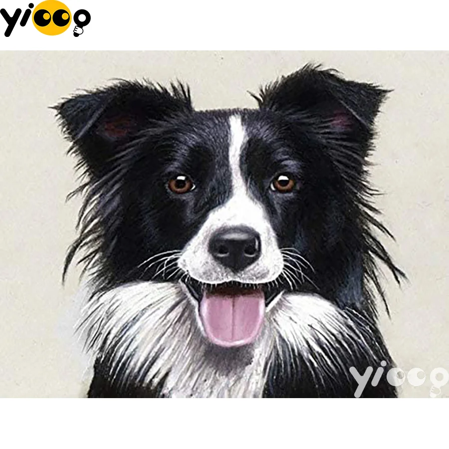 Полноразмерная/круглая алмазная живопись бордюр колли 5D вышивка сделай сам