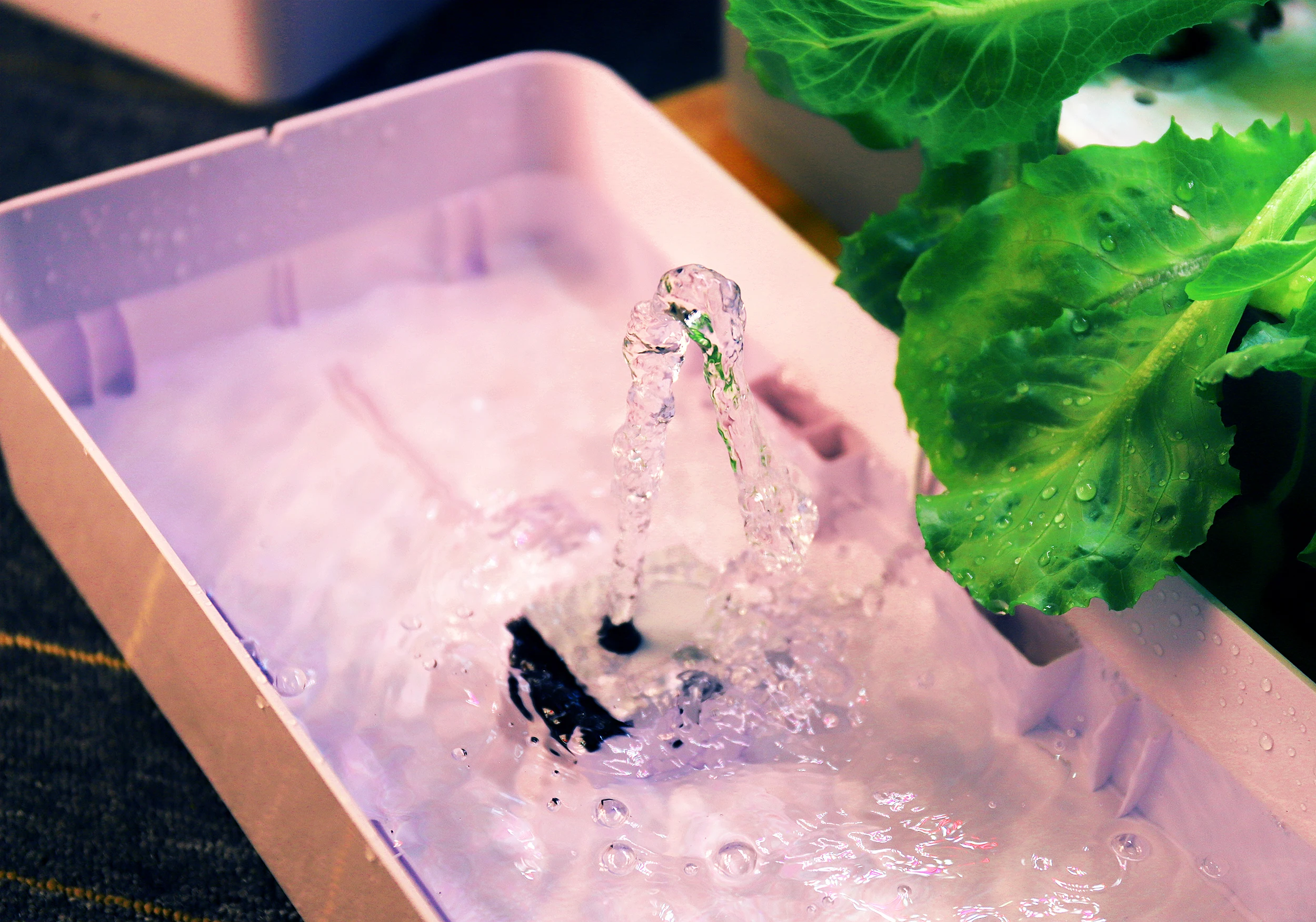 Система гидропоники интеллектуальная коробка с растительным светом Ecoo