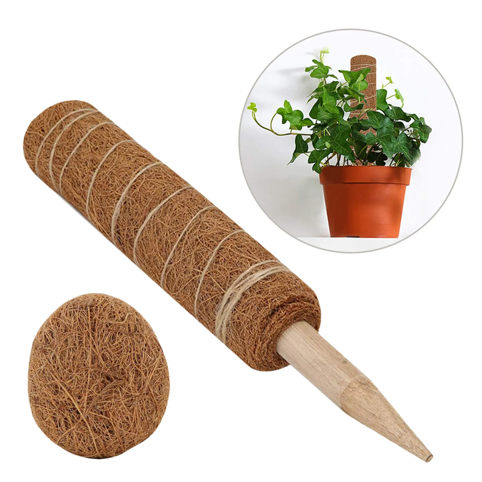 

Eco-friendly Plant Climbing Coconut Palm Stick Safe Gardening Coconut Palm Stick For Climbing Plants Vines And Creepers