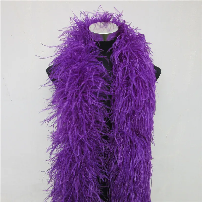 

Sale 2 Meter/lot Purple Ostrich Feather Boa Decoration Accessories Plumas De Faisan 10 Layer Feathers for Crafts Plume Plumes