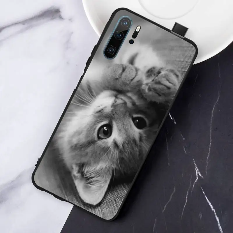 

Cute Animal Lovely Pretty Cat Phone Case For Huawei honor Mate P 10 20 30 40 Pro 10i 9 10 20 8 x Lite