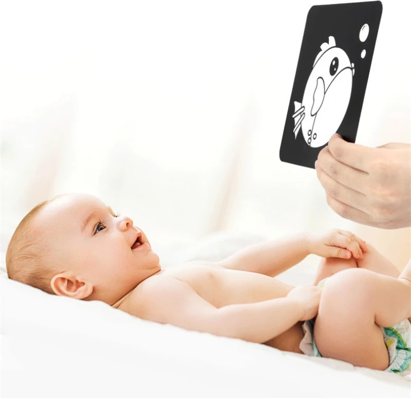 Многоцветные карточки с животными цветные для дошкольного раннего образования