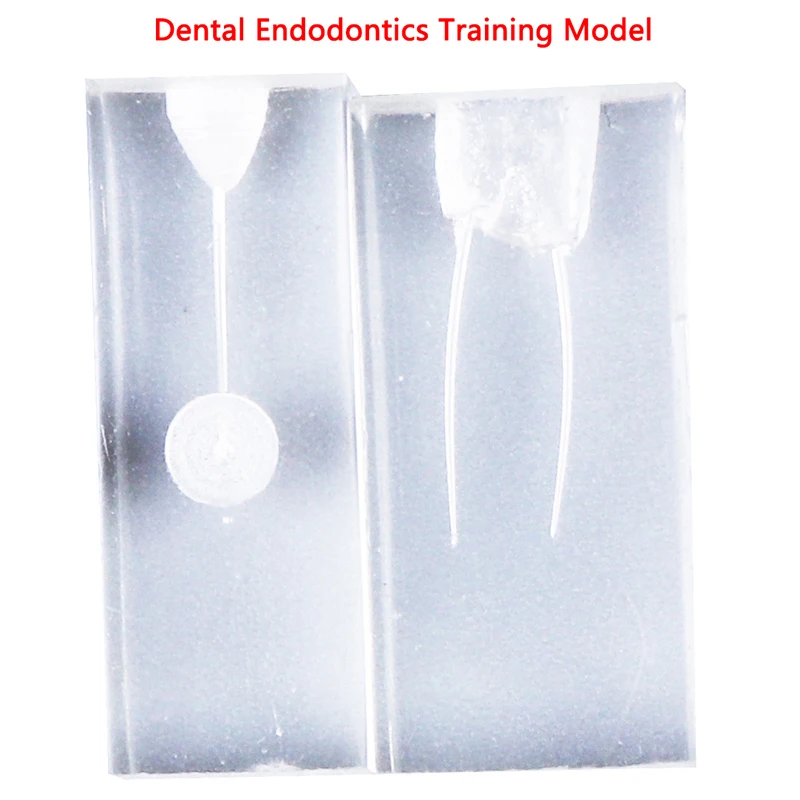 

New Arriva 2Styles Dental Endo Training Block Endodontics Student Teaching Model Practice Model Dentistry
