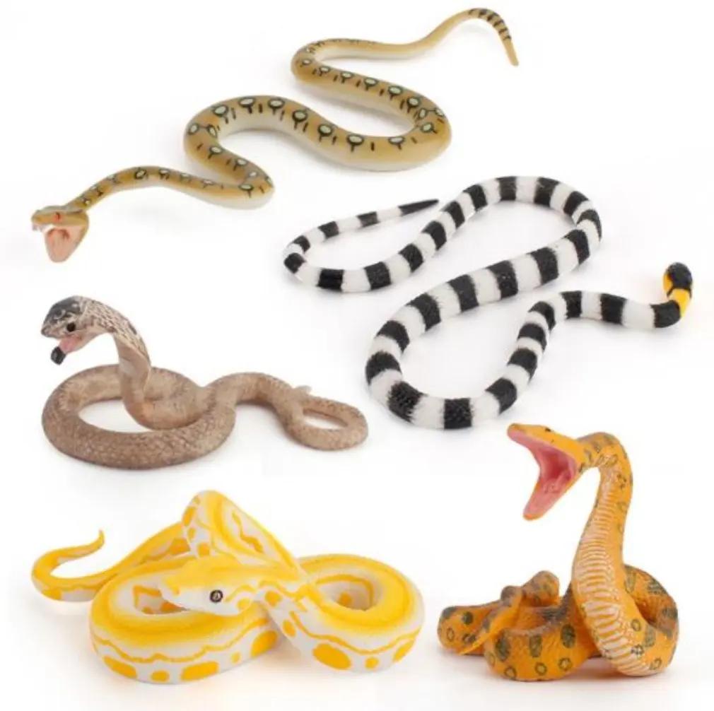 

Simulation Wild Animal Snake Model Gold Boa Constrictor Cobra Coral Snake Children's Science And Education Cognitive Ornaments