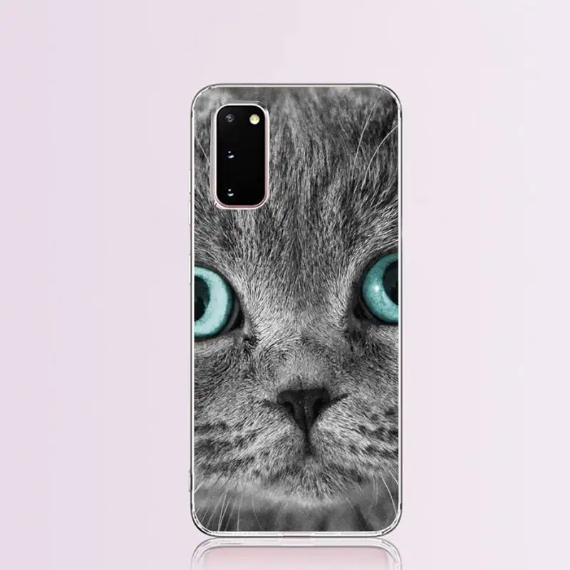 Scottish fold cat Coque Shell Phone Case for Samsung S9 plus S5 S6 S7 edge S8 S10 | Мобильные телефоны и аксессуары