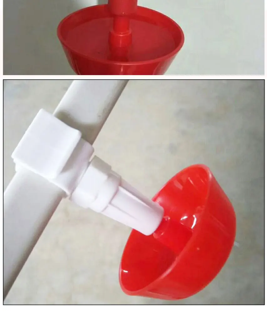 10/20 шт куриные подвесные чашки Автоматическая Питьевая чаша для цыплят перепелов