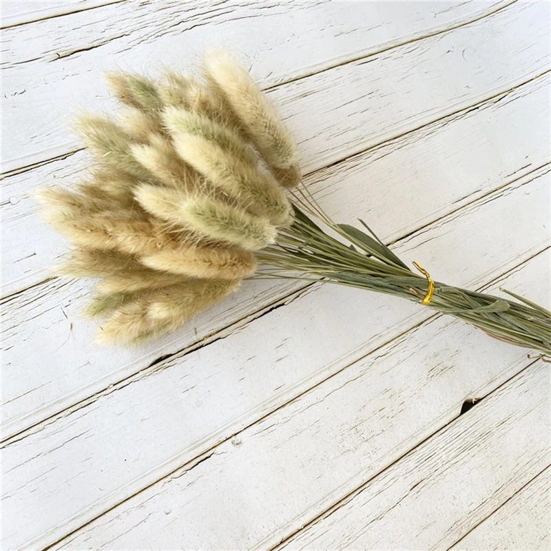 

50Pcs/Lot Dried Flowers Rabbit Bunny Tail Grass Pampas Grass Natural Plants Bouquet Wedding Christmas Decoration Boho Home Decor