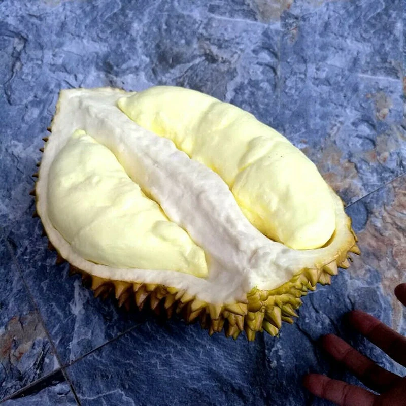 Имитация дуриана Искусственные Поддельные фрукты ручной работы реалистичные DIY