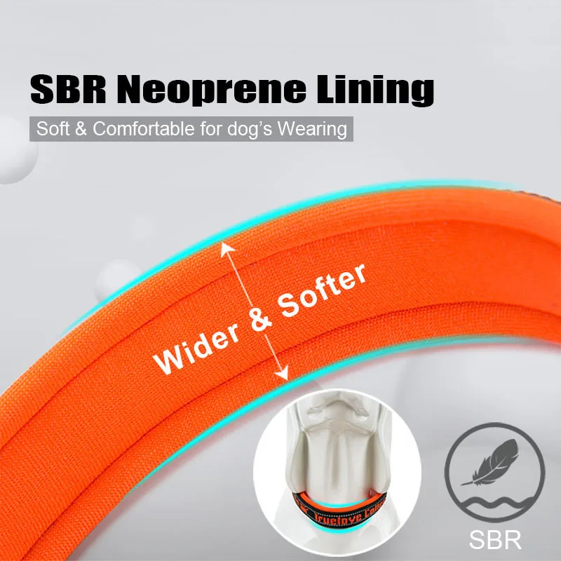 Truelove подходящий нейлоновый ошейник и поводок для собак большие маленькие собаки