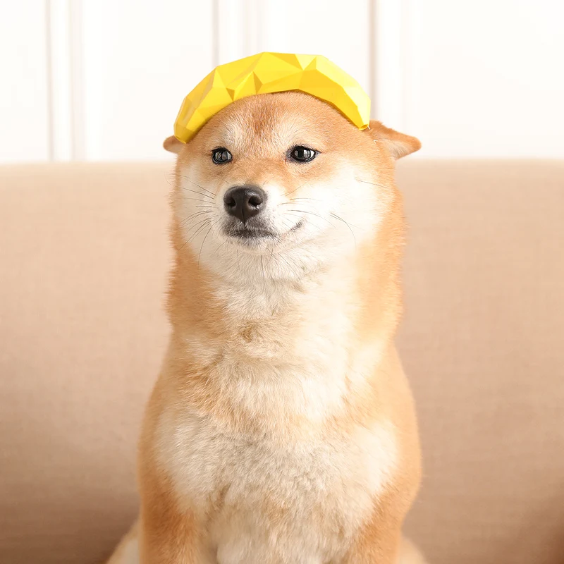 Фруктовая игрушка для собак дозатор жевания утечка еды пищащих Кормушка Для