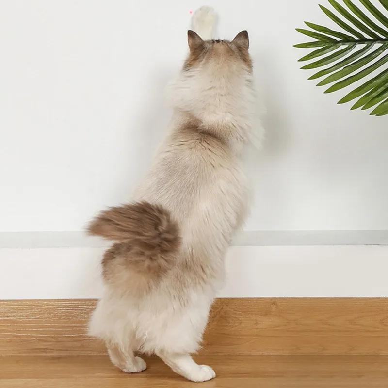 

Cat Laser Toy LED Cat Toys Kitten Interactive Puzzle Training Entertaining Toy Automatic Pet Play Toy Dropshipping